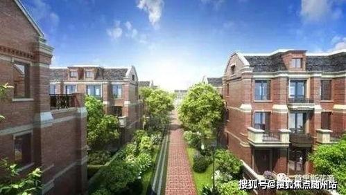 茄瓜行情今日最新走势分析,今日走势解析，涨跌背后的市场动向