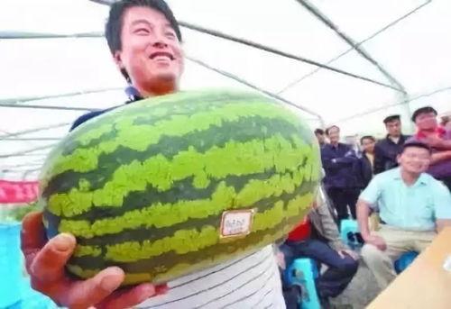 今日大瓜免费,揭秘娱乐圈最新热点事件