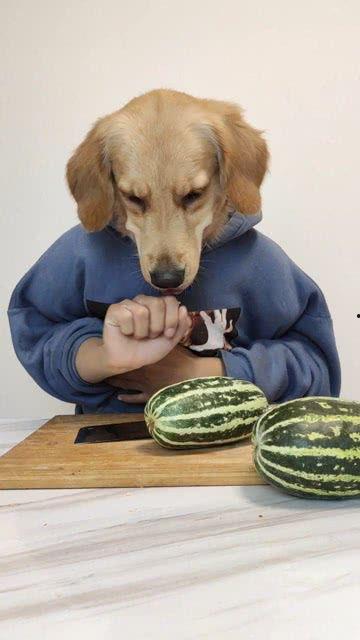 今日必吃大瓜,揭秘娱乐圈最新热点事件