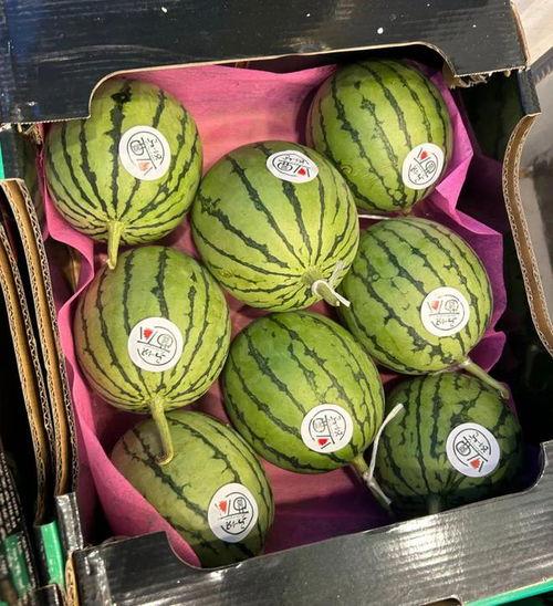 麒麟瓜今日价格,市场波动下的新鲜行情
