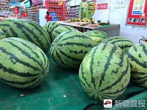 今日新疆瓜价是多少,新鲜美味，价格实惠