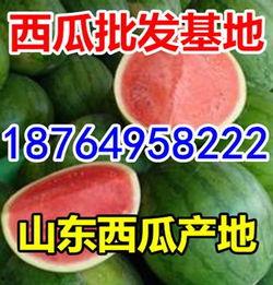 今日新疆瓜价是多少,新鲜美味，价格实惠