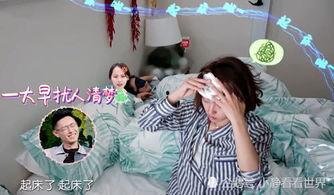 明星网红同款东西图片,揭秘潮流风向标