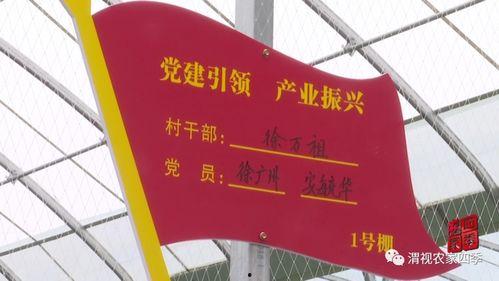 华州瓜坡今日头条,最新动态一览无余