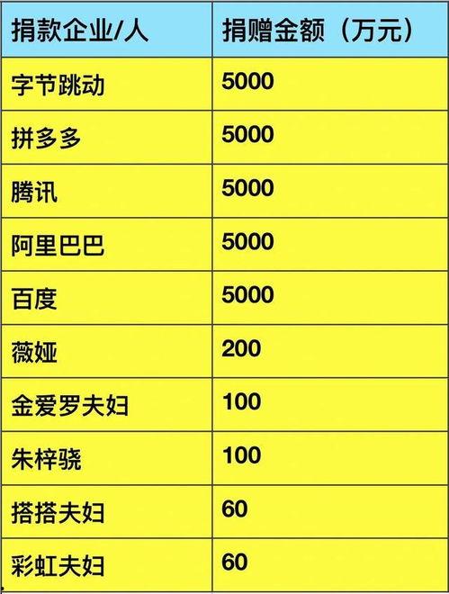 明星网红捐款数量统计,捐款数量大盘点