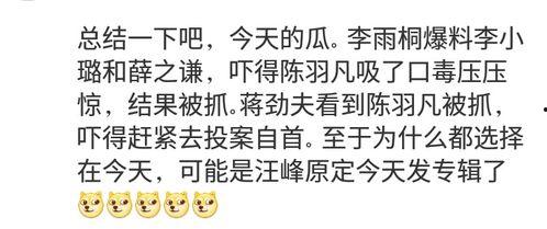 快乐不止今日 瓜的大写,瓜的传奇之旅