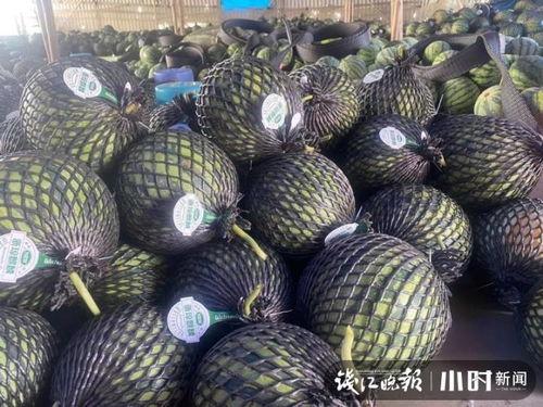 海南二瓜今日价格行情,涨跌波动，市场动态一览