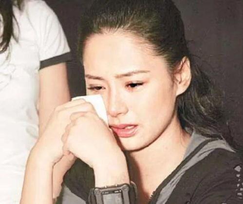 明星网红的瓜免费看,免费观看独家瓜料大揭秘