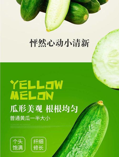 开封今日鲜瓜价格表查询,新鲜上市，价格亲民