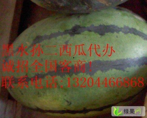 今日瓜报,娱乐圈最新爆料，揭秘明星幕后故事