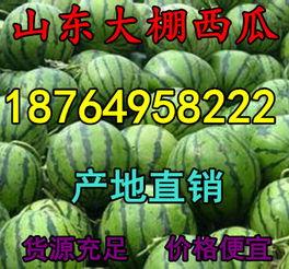 今日瓜价格河北衡水,新鲜瓜价走俏，市民抢购热潮