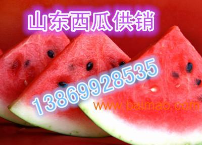 今日瓜价格河北衡水,新鲜瓜价走俏，市民抢购热潮