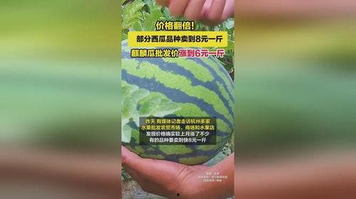 麒麟瓜批发今日价格,涨跌波动解析