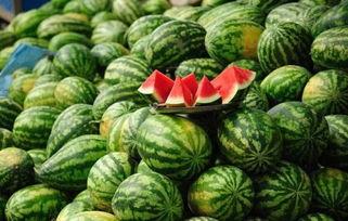 今日必吃的瓜视频回放,揭秘热门视频背后的真相与笑料