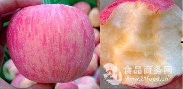 今日白瓜收购价