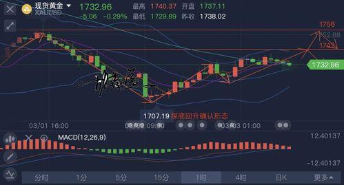 今日蛇瓜价格走势图分析,今日走势图深度解读