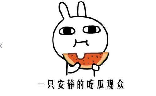 黑料吃黑瓜快手,快手“黑瓜”事件深度剖析