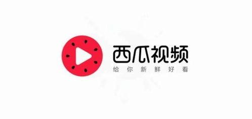 今日头条冒瓜视频,揭秘今日热点背后的故事