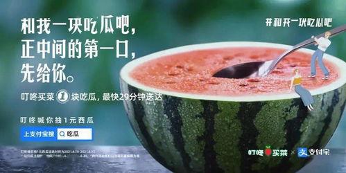 多伦多吃瓜群今日新闻,今日新闻焦点盘点