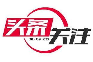 瓜州镇新闻今日头条,聚焦乡村振兴，共绘美好家园新画卷