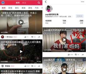 呆瓜视频今日头条,揭秘热门话题背后的趣味真相