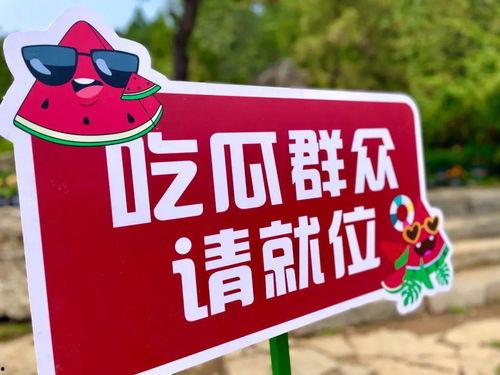 911 红领巾吃瓜爆料今日大瓜,今日大瓜事件全解析