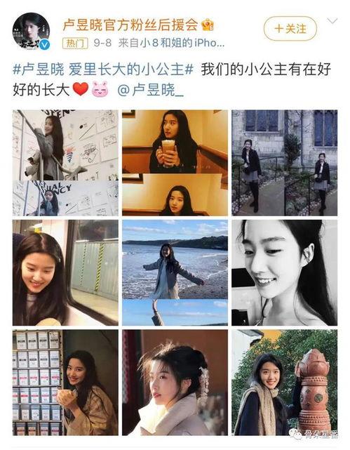 新中式明星网红爆款,明星网红爆款深度解析