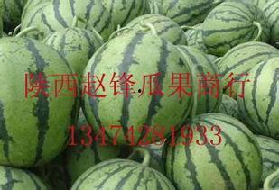 渭南蒲城今日瓜价哈密瓜,今日哈密瓜价格行情一览”