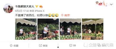 今日头条卖瓜的主播是谁,揭秘瓜界网红背后的故事