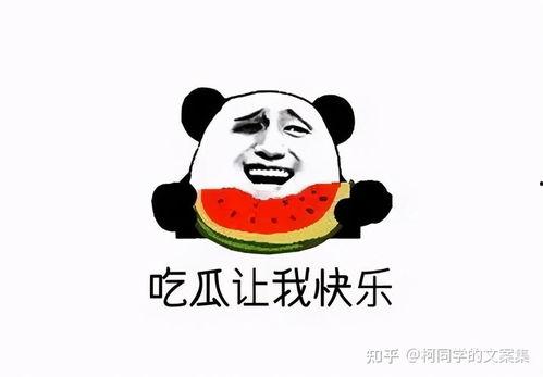 今日吃瓜群众文案,揭秘娱乐圈最新热点事件