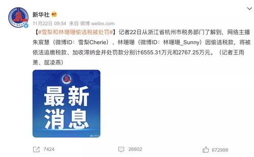 明星网红为何偷漏税,背后的动机与影响