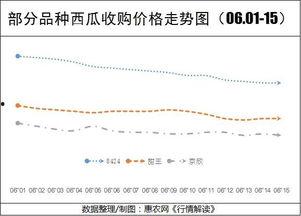 小盘瓜今日价格行情走势,今日行情走势解析