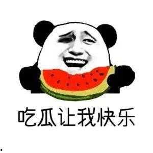 今日的吃瓜是什么意思,网络热词背后的文化现象