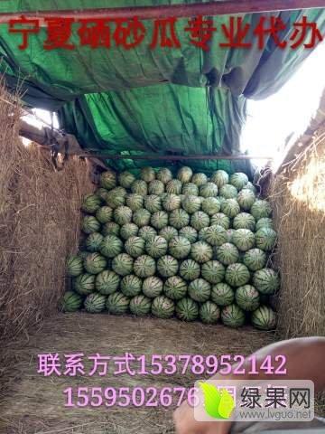 宁夏中卫硒砂瓜今日行情,今日行情火爆，硒元素助力健康生活”