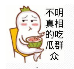 今日大瓜价格最新行情,价格波动解析，市场动态一览