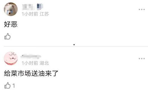 买菜明星网红是谁啊,她是如何成为人气王者的？
