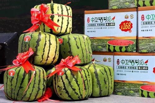 硒砂瓜今日行情
