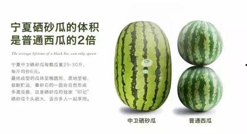 硒砂瓜今日行情