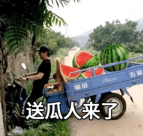 瓜哥今日文案最新