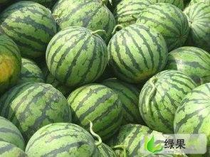 陕西美都瓜价最新行情今日