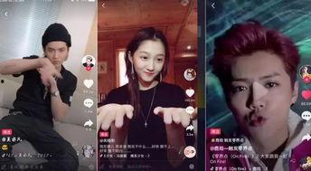 关于明星网红视频的文案,潮流风向标下的娱乐盛宴