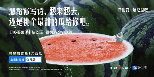 今日吃瓜文案图片,揭秘娱乐圈新鲜事