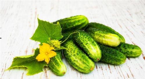 今日种好地大黃瓜价格,价格走势与市场分析”