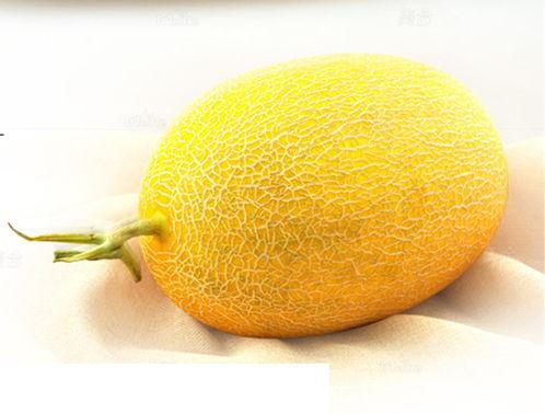 今日特价哈密瓜多少钱,惊喜价抢购，尽享夏日甘甜！