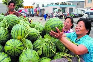 高瓜今日价格,今日行情一览”