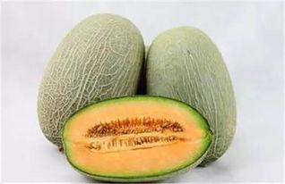 2025佛罗哈密瓜今日价格行情,今日价格走势解析”