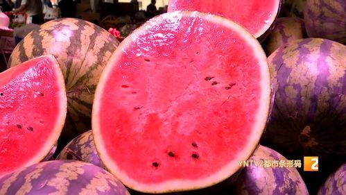 麒麟瓜价格今日行情最新,涨跌波动，市场动态解析