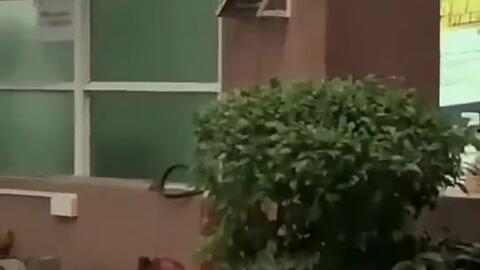 广州今日吃瓜新闻