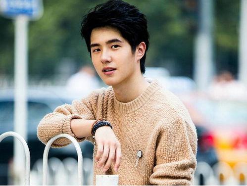 有哪些明星网红支援贵阳,明星网红携手助力，共筑防线