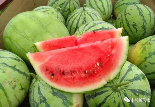 西安今日吃瓜事件视频,一场网络热议的街头冲突瞬间